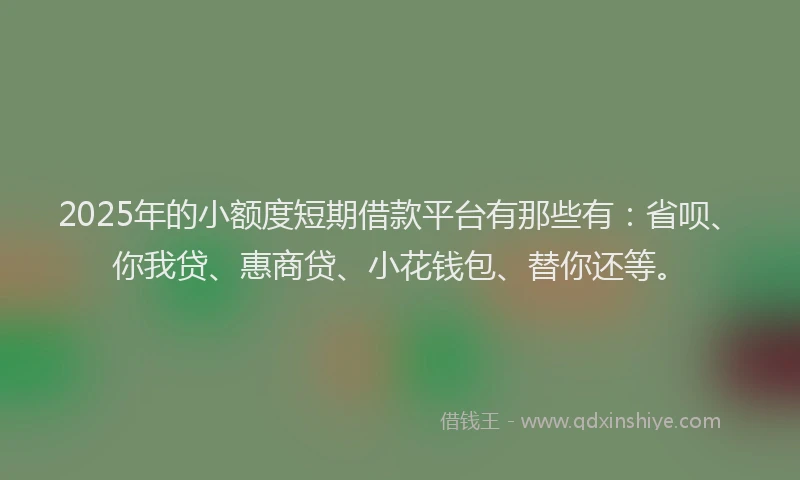 2025年的小额度短期借款平台有那些有：省呗、你我贷、惠商贷、小花钱包、替你还等。