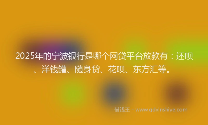 2025年的宁波银行是哪个网贷平台放款有：还呗、洋钱罐、随身贷、花呗、东方汇等。