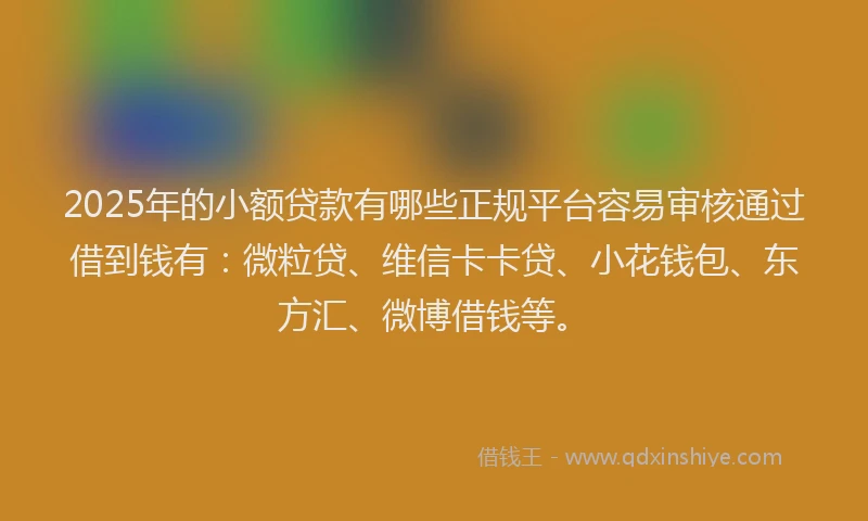 2025年的小额贷款有哪些正规平台容易审核通过借到钱有：微粒贷、维信卡卡贷、小花钱包、东方汇、微博借钱等。