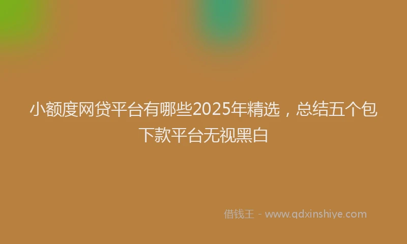 小额度网贷平台有哪些2025年精选，总结五个包下款平台无视黑白