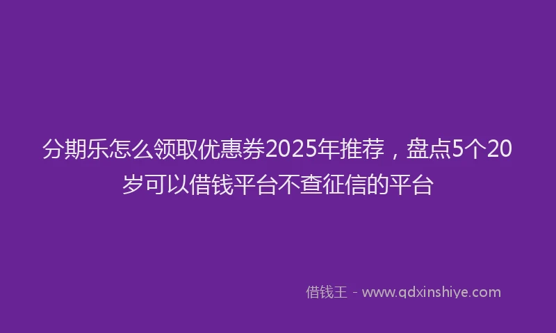 分期乐怎么领取优惠券2025年推荐，盘点5个20岁可以借钱平台不查征信的平台