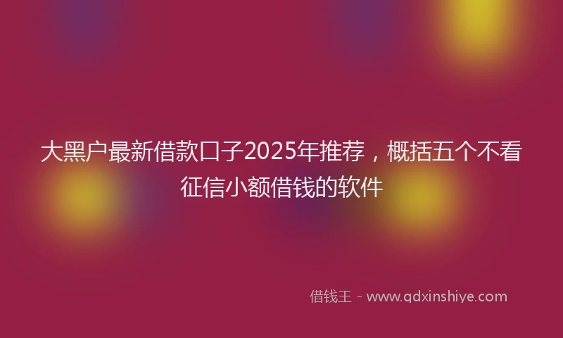 大黑户最新借款口子2025年推荐，概括五个不看征信小额借钱的软件