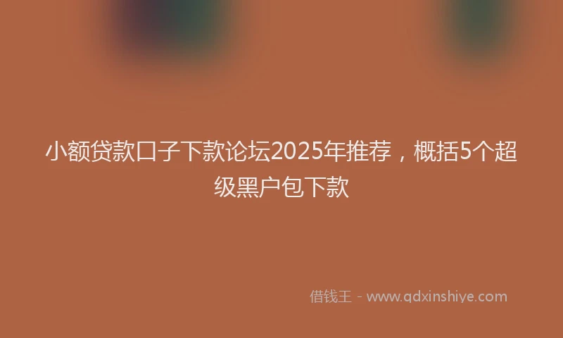 小额贷款口子下款论坛2025年推荐，概括5个超级黑户包下款