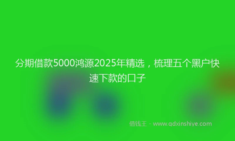 分期借款5000鸿源2025年精选，梳理五个黑户快速下款的口子