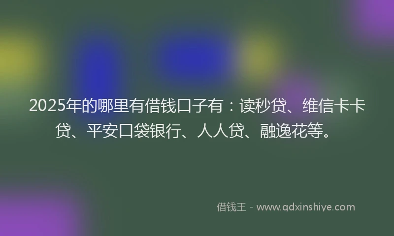 2025年的哪里有借钱口子有：读秒贷、维信卡卡贷、平安口袋银行、人人贷、融逸花等。