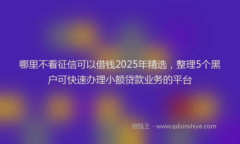 哪里不看征信可以借钱2025年精选，整理5个黑户可快速办理小额贷款业务的平台