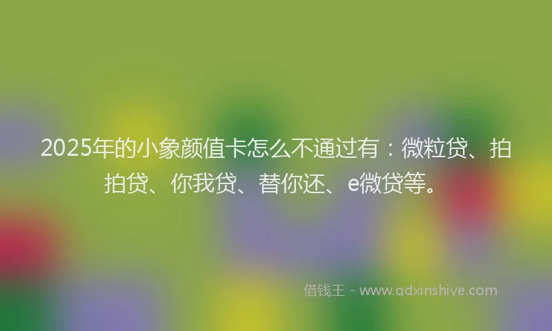 2025年的小象颜值卡怎么不通过有：微粒贷、拍拍贷、你我贷、替你还、e微贷等。