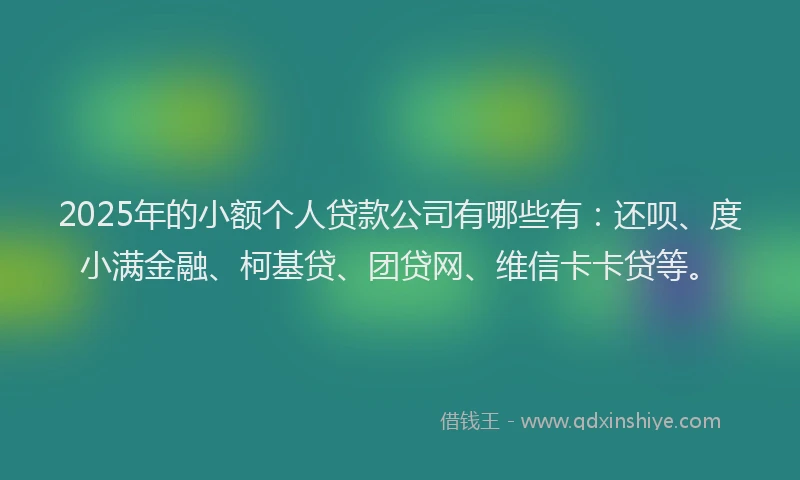 2025年的小额个人贷款公司有哪些有：还呗、度小满金融、柯基贷、团贷网、维信卡卡贷等。