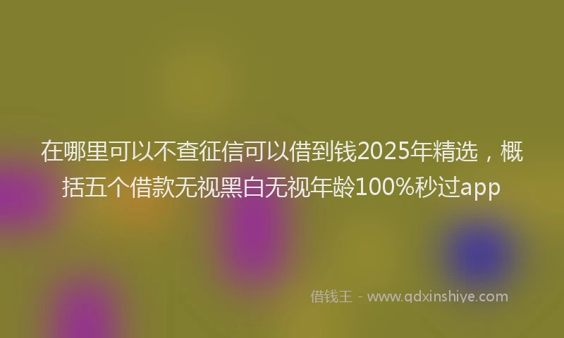 在哪里可以不查征信可以借到钱2025年精选，概括五个借款无视黑白无视年龄100%秒过app