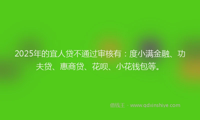 2025年的宜人贷不通过审核有：度小满金融、功夫贷、惠商贷、花呗、小花钱包等。