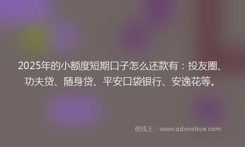 2025年的小额度短期口子怎么还款有：投友圈、功夫贷、随身贷、平安口袋银行、安逸花等。
