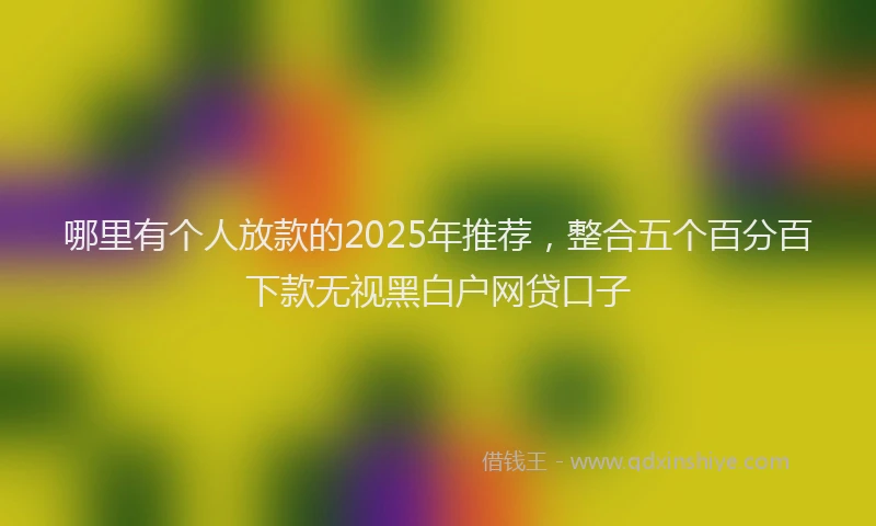 哪里有个人放款的2025年推荐，整合五个百分百下款无视黑白户网贷口子