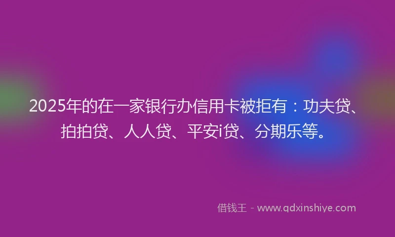 2025年的在一家银行办信用卡被拒有：功夫贷、拍拍贷、人人贷、平安i贷、分期乐等。