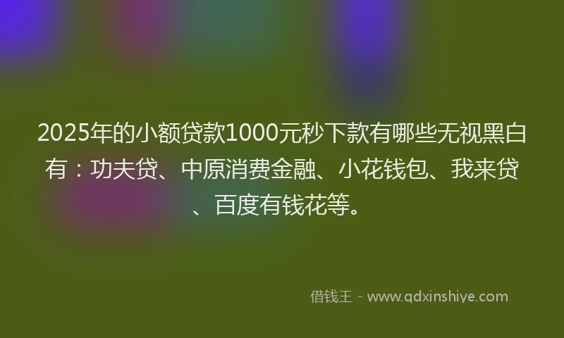 2025年的小额贷款1000元秒下款有哪些无视黑白有：功夫贷、中原消费金融、小花钱包、我来贷、百度有钱花等。