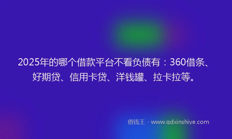 2025年的哪个借款平台不看负债有：360借条、好期贷、信用卡贷、洋钱罐、拉卡拉等。