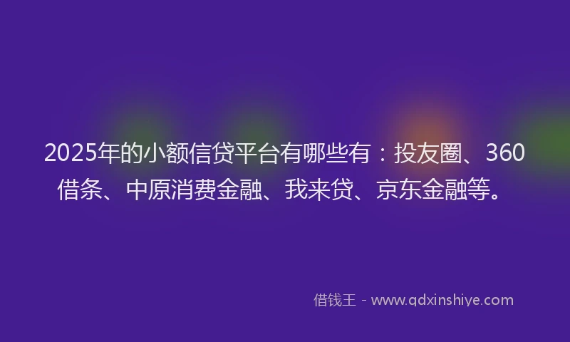 2025年的小额信贷平台有哪些有：投友圈、360借条、中原消费金融、我来贷、京东金融等。