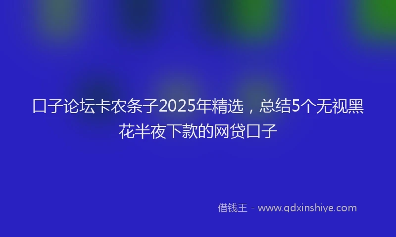 口子论坛卡农条子2025年精选，总结5个无视黑花半夜下款的网贷口子