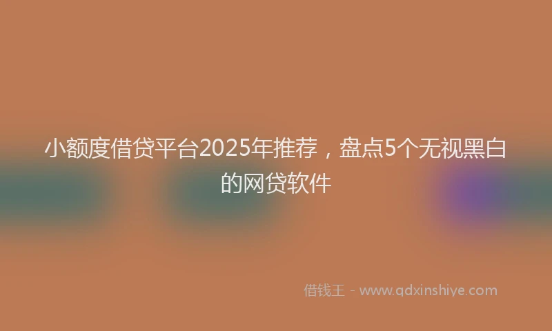 小额度借贷平台2025年推荐，盘点5个无视黑白的网贷软件