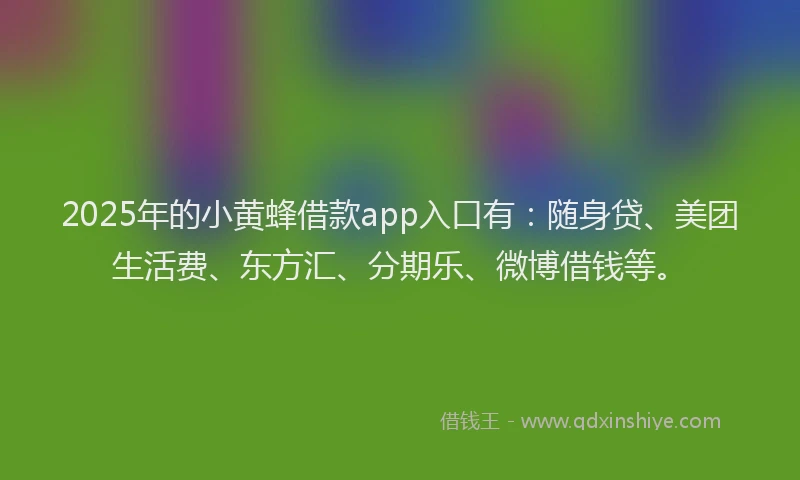 2025年的小黄蜂借款app入口有：随身贷、美团生活费、东方汇、分期乐、微博借钱等。