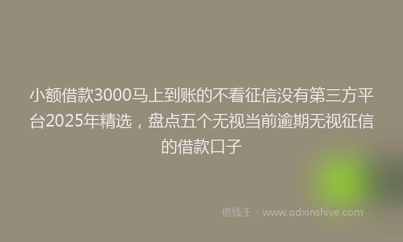 小额借款3000马上到账的不看征信没有第三方平台2025年精选，盘点五个无视当前逾期无视征信的借款口子