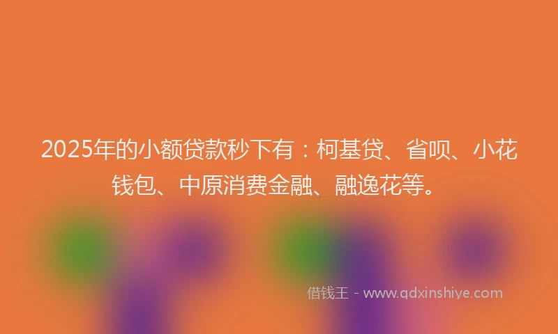 2025年的小额贷款秒下有：柯基贷、省呗、小花钱包、中原消费金融、融逸花等。