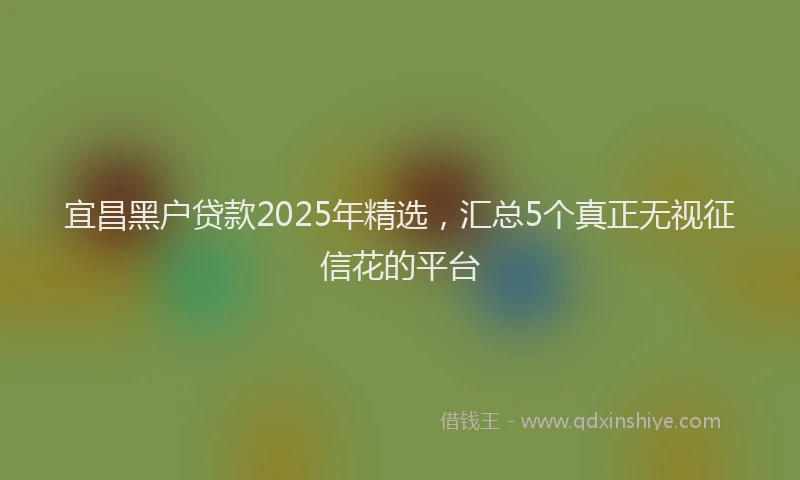 宜昌黑户贷款2025年精选，汇总5个真正无视征信花的平台