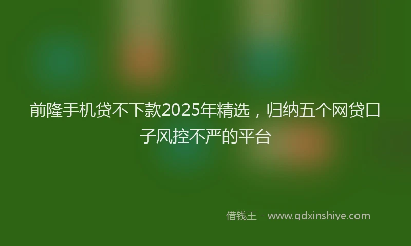 前隆手机贷不下款2025年精选，归纳五个网贷口子风控不严的平台