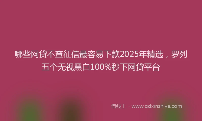 哪些网贷不查征信最容易下款2025年精选，罗列五个无视黑白100%秒下网贷平台