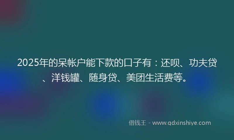 2025年的呆帐户能下款的口子有：还呗、功夫贷、洋钱罐、随身贷、美团生活费等。