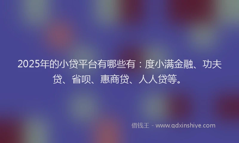 2025年的小贷平台有哪些有：度小满金融、功夫贷、省呗、惠商贷、人人贷等。