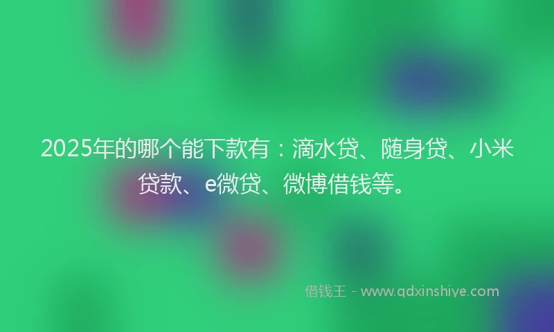 2025年的哪个能下款有：滴水贷、随身贷、小米贷款、e微贷、微博借钱等。