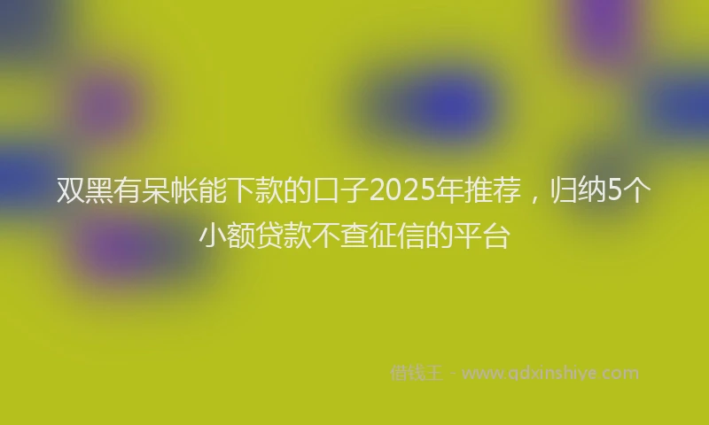 双黑有呆帐能下款的口子2025年推荐，归纳5个小额贷款不查征信的平台