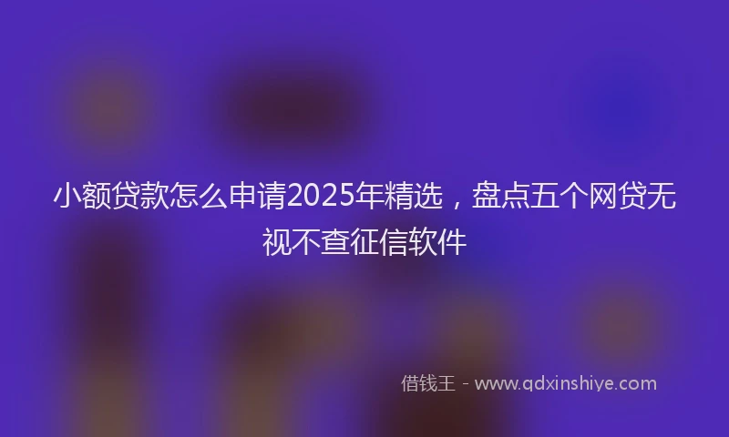 小额贷款怎么申请2025年精选，盘点五个网贷无视不查征信软件