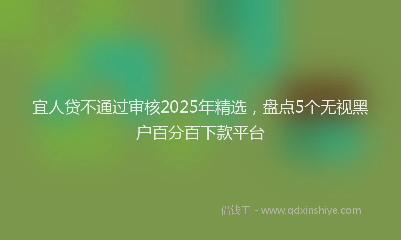 宜人贷不通过审核2025年精选，盘点5个无视黑户百分百下款平台