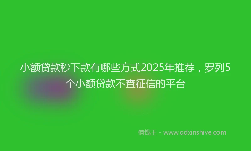 小额贷款秒下款有哪些方式2025年推荐，罗列5个小额贷款不查征信的平台