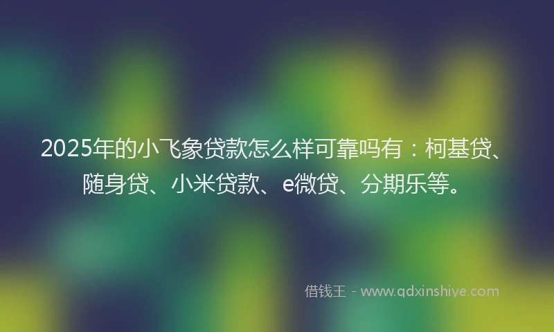2025年的小飞象贷款怎么样可靠吗有：柯基贷、随身贷、小米贷款、e微贷、分期乐等。