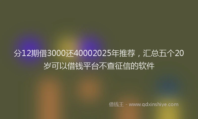 分12期借3000还40002025年推荐，汇总五个20岁可以借钱平台不查征信的软件