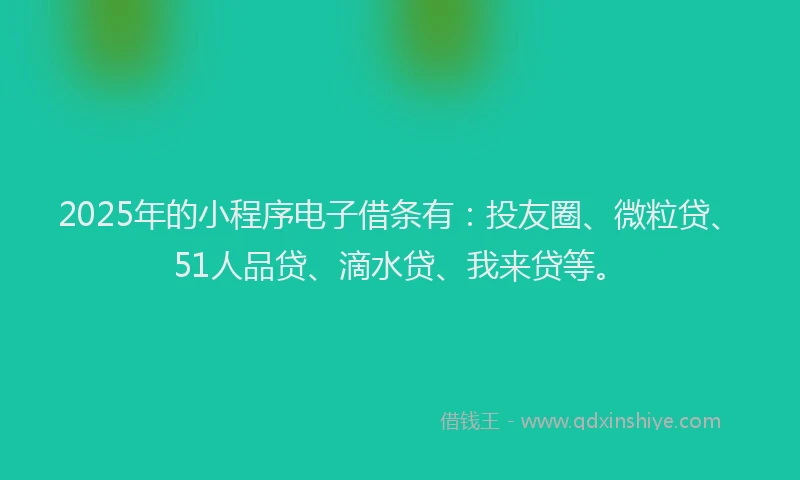 2025年的小程序电子借条有：投友圈、微粒贷、51人品贷、滴水贷、我来贷等。