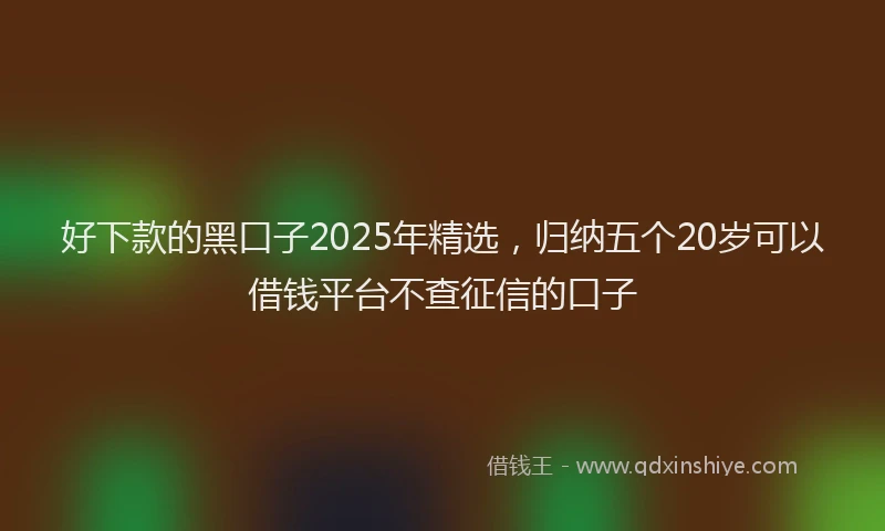 好下款的黑口子2025年精选，归纳五个20岁可以借钱平台不查征信的口子