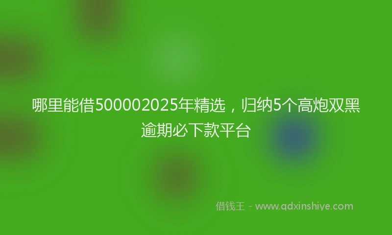 哪里能借500002025年精选，归纳5个高炮双黑逾期必下款平台