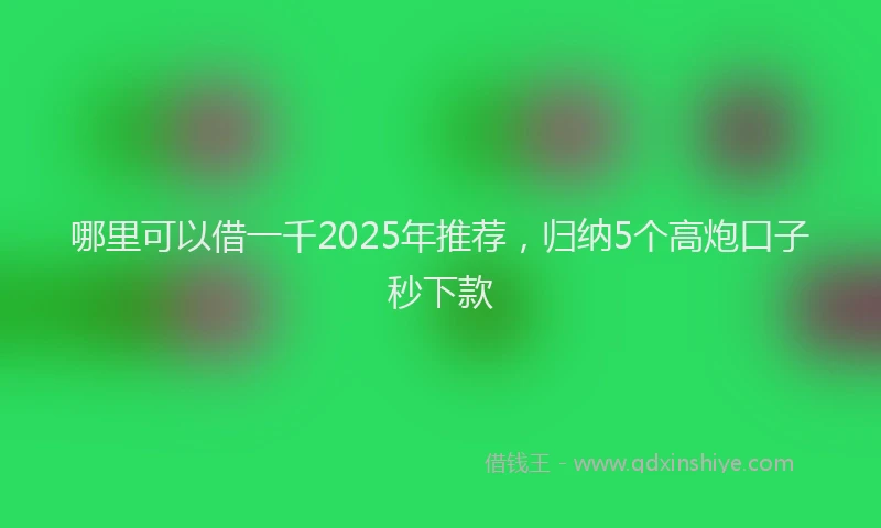 哪里可以借一千2025年推荐，归纳5个高炮口子秒下款