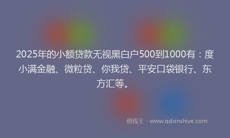 2025年的小额贷款无视黑白户500到1000有：度小满金融、微粒贷、你我贷、平安口袋银行、东方汇等。