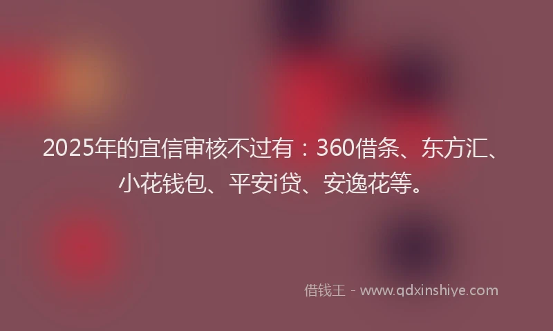 2025年的宜信审核不过有：360借条、东方汇、小花钱包、平安i贷、安逸花等。