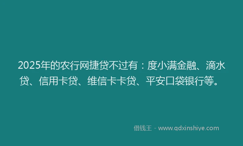 2025年的农行网捷贷不过有：度小满金融、滴水贷、信用卡贷、维信卡卡贷、平安口袋银行等。