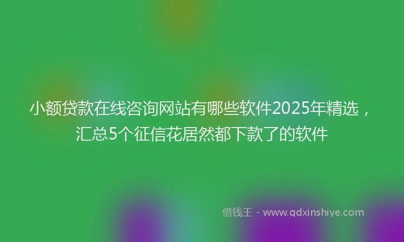 小额贷款在线咨询网站有哪些软件2025年精选，汇总5个征信花居然都下款了的软件