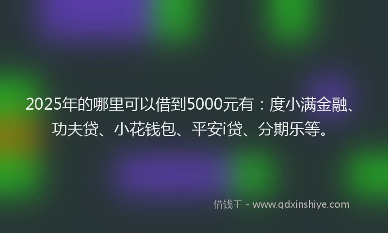 2025年的哪里可以借到5000元有：度小满金融、功夫贷、小花钱包、平安i贷、分期乐等。
