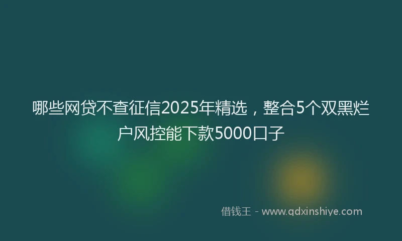 哪些网贷不查征信2025年精选，整合5个双黑烂户风控能下款5000口子