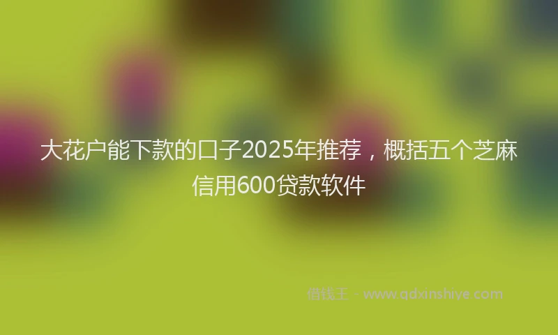 大花户能下款的口子2025年推荐，概括五个芝麻信用600贷款软件