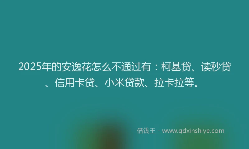 2025年的安逸花怎么不通过有：柯基贷、读秒贷、信用卡贷、小米贷款、拉卡拉等。