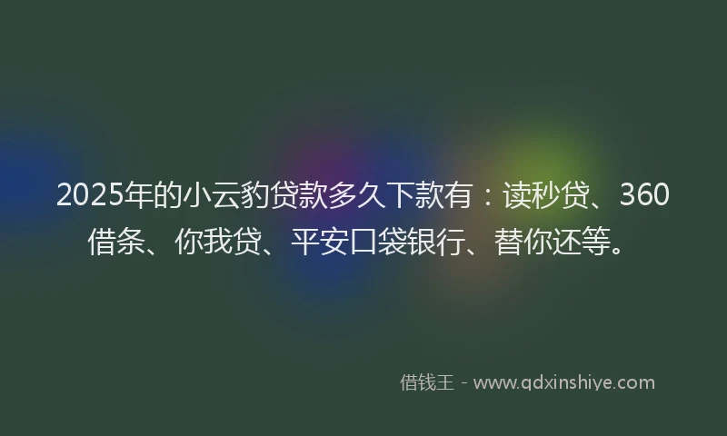 2025年的小云豹贷款多久下款有：读秒贷、360借条、你我贷、平安口袋银行、替你还等。